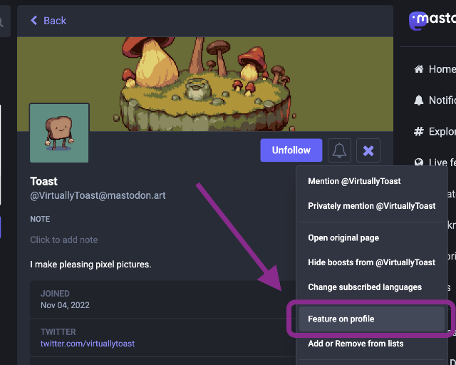 Screenshot of the Mastodon Web UI, showing a profile page with the action sub-menu open. The action 'Feature this profile' is highlighted.