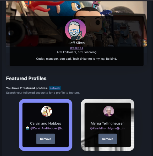 Screenshot of the Featured Profiles UI, showing the account banner and two featured profiles displayed
